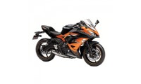 Buy 2017-2019 Kawasaki Ninja EX650 Fairings Canada