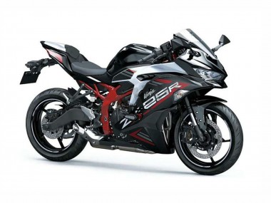 Buy 2019-2025 Kawasaki ZX25R ZX-25R Motorcycle Fairings - Silver Red Black Canada