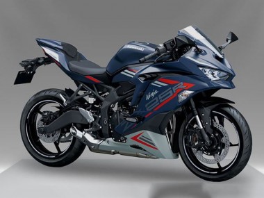 Buy 2019-2025 Kawasaki ZX25R ZX-25R Motorcycle Fairing - Blue Red Grey Canada
