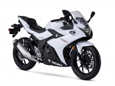 Buy 2017-2020 Suzuki GSX250R Motorcycle Fairing Kits - White Black Canada