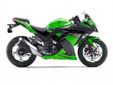 Buy 2013-2024 Kawasaki EX300 Motorcycle Fairing - Green Black Canada