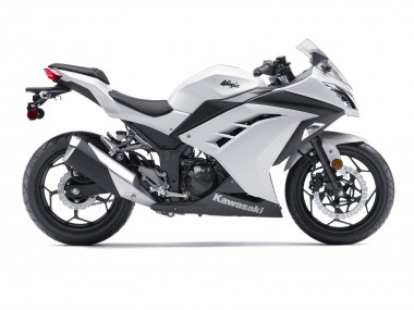 Buy 2013-2024 Kawasaki EX300 Motorcycle Fairings - White Black Canada