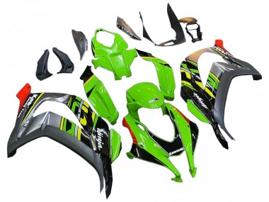 Buy 2016-2020 Kawasaki ZX10R Motorcycle Fairings - Green Red Grey Canada