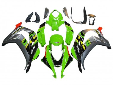 Buy 2016-2020 Kawasaki ZX10R Motorcycle Fairings - Green Red Grey Canada