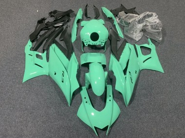Buy 2022-2024 Yamaha YZF R3/R25 Motorcycle Fairings - Light Green Canada