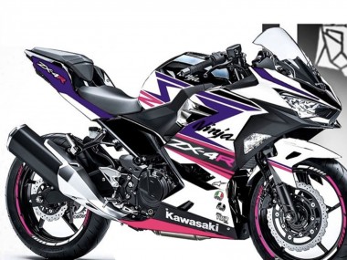 Buy 2018-2024 Kawasaki Ninja 400 Motorcycle Fairings - White Purple Pink Canada
