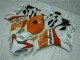 Buy 2004-2005 Orange White Repsol Honda CBR1000RR Motorbike Fairing Canada